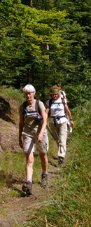 Heading back to Keswick through Brunholme Woods/from a photo by Arnold Underwood/8th Aug 2008
