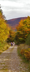 Walking along Newtondale/from a photo by Arnold Underwood, Oct 2009