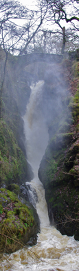 Aira Force after heavy rain/from a photo by Arnold Underwood/April 2011