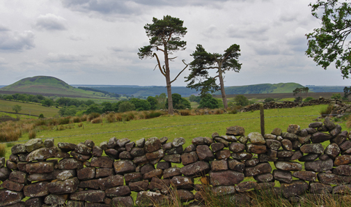 The twin peaks from near Ladhill Gill/photo by Arnold Underwood, June 2011 