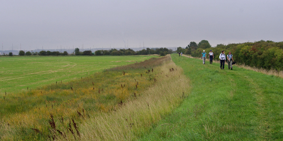 On the Humber floodbank/photo by Arnold Underwood, 4th Sept 2011 