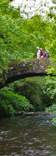 Dobpark Bridge/from a photo by Arnold Underwood