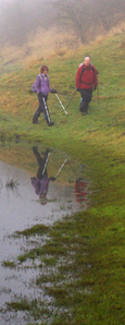 Reflections in Brownmoor Pond/from a photo by Arnold Underwood, Jan 2013