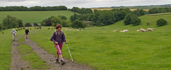 On the Lincolnshire Wolds above Stainton-le-Vale/photo by Arnold Underwood, July 2012