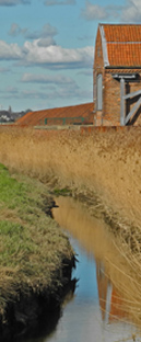 The Ropewalk alongside Barton Haven/from a photo by Arnold Underwood/Feb 2016