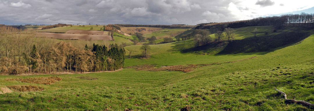 Megdale Brow near Kirby Underdale/Photo  Arnold Underwood/March 6th 2016