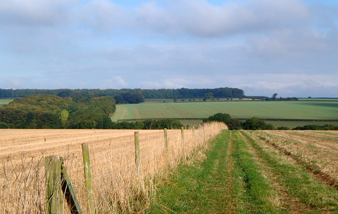 The Wolds near Bainton/photo by Arnold Underwood, 