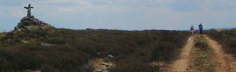 Bilsdale West Moor/from a photo by Arnold Underwood/July 2004