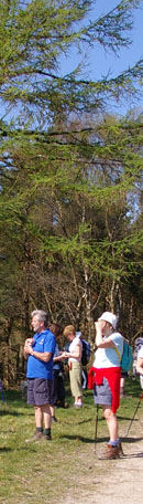 Broxa Forest, North York Moors/Photo � Arnold Underwood, LWC April 2007