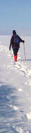 On the Wolds Way near Fridaythorpe/from a photo by Arnold Underwood/Feb 2004