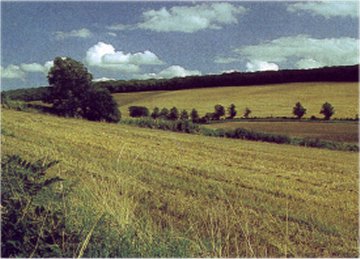 View towards Cave Wold/Photo by Arnold Underwood