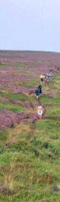 On Danby Rigg/from a photo by Arnold Underwood