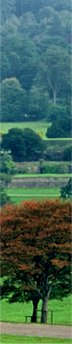 Derwent Valley/from a photo by Arnold Underwood