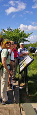 Viewpoint on the Harrogate Ringway Path, Harrogate/Photo  Arnold Underwood, HWC 14th June 2009