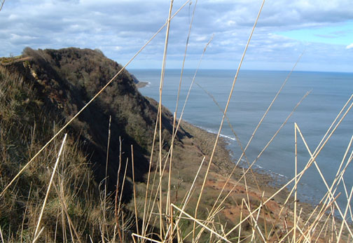 Coastline near Hayburn Wyke from the Cleveland Way/photo by Arnold Underwood, April 2004