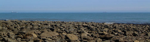 The rocky shore at Hayburn Wyke/from a photo by Arnold Underwood/August 2005