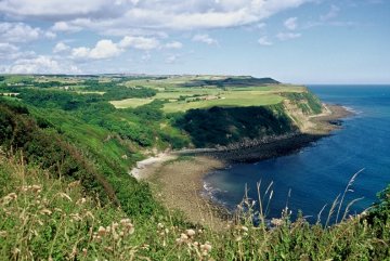 Looking down onto Hayburn Wyke from the Cleveland Way/photo by Arnold Underwood