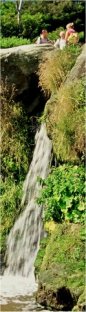 Waterfall at Hayburn Wyke/from a photo by Arnold Underwood