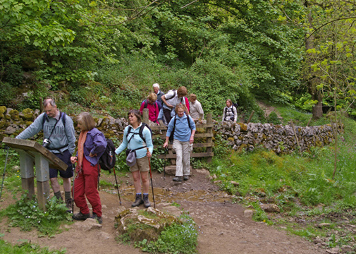 Leven Walking Club in Deepdale,near Bakewell (Derbyshire)/Photo � Arnold Underwood/18th May 2008