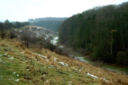 Snow in Lavender Dale, near Blanch Farm/photo by Arnold Underwood/Jan 2004