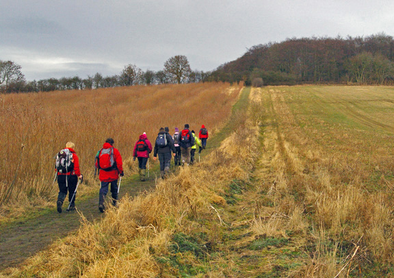 Little Wold, near South Cave/photo by Arnold Underwood, Jan 2009