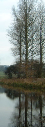 Reflections in Londesborough Lake/from a photo by Arnold Underwood/Dec 2005