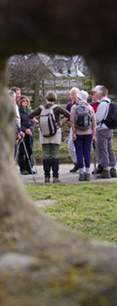 Seen through Low Cross, North York Moors/Photo  Arnold Underwood, LWC, 15th Mar 2009