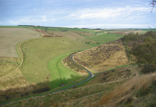 Millington Dale/photo by Sheila Button/Nov 2007