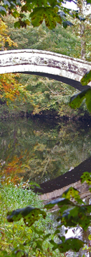 New Bridge reflected in the waters of the River Nidd/from a photo by Arnold Underwood/Oct 2007