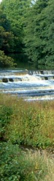 River Nidd at Birstwith weir/from a photo by Arnold Underwood/Nov 2003