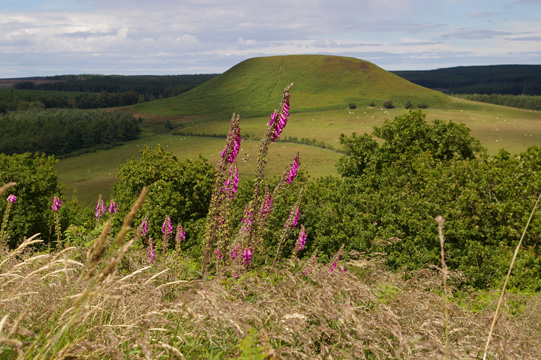 Blakey Topping from Old Wives Way/photo by Arnold Underwood,July 2008