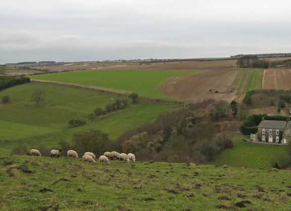 View across the Wolds from Paradise Cottages /photo by Arnold Underwood,Feb 2008