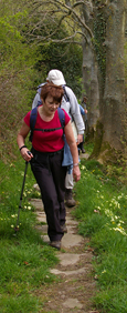 On the flagstone path near Raw/from a photo by Arnold Underwood, April 2010