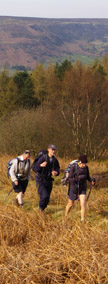 Climbing Hartoft Rigg/ from a photo by Arnold Underwood, April 2007