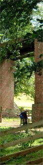 Old railway viaduct/from a photo by Arnold Underwood