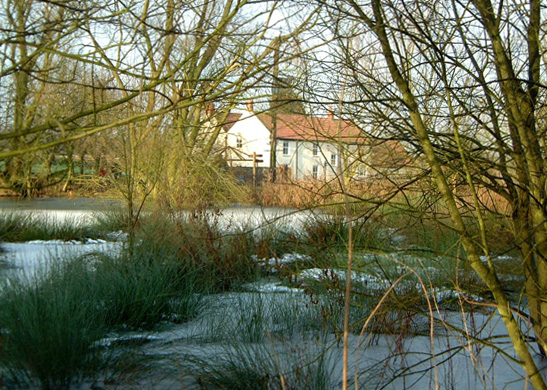 Frost on Wauldby pond/photo by Arnold Underwood/Jan 2003