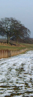 A light snowfall on the Wolds/from a photo by Arnold Underwood