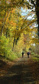 Yedmandale in Autumn/ from a photo by Arnold Underwood, Nov 2004